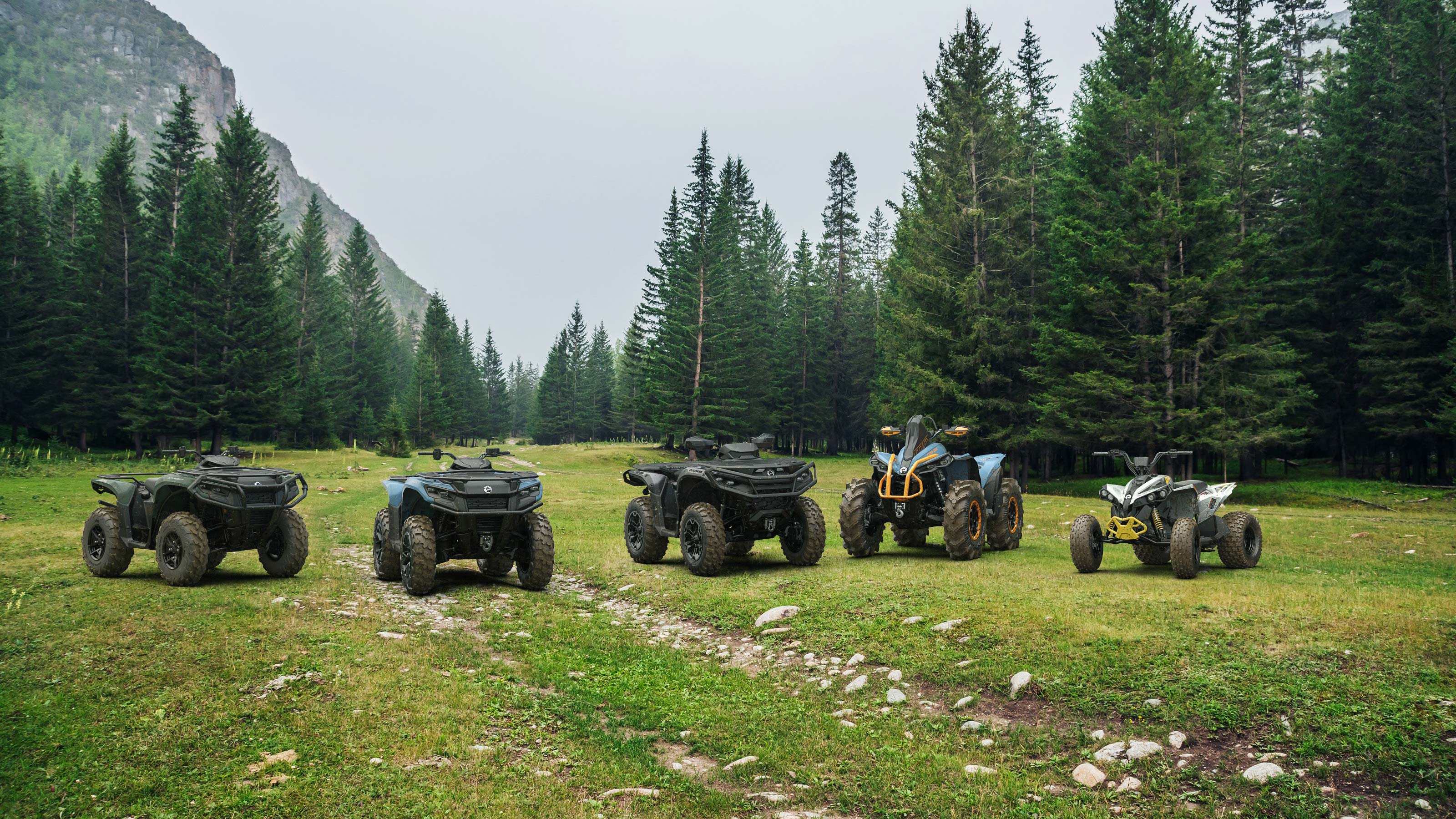 La familia de quads Can-Am, uno junto al otro, frente a un hermoso bosque